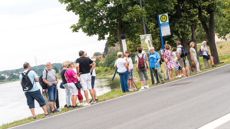 ... andere den Linienbus. Und wieder andere das Fahrrad. Für das Weingut Lehmann in Diesbar-Seußlitz wurde die Vielzahl der Räder zur Herausforderung.