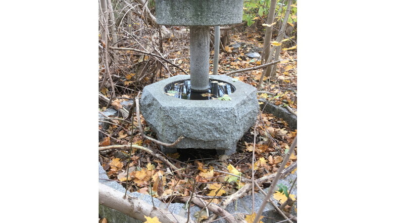Dieser Brunnen ist freigelegt, seit das Gestrüpp im Garten zurückgeschnitten wurde.