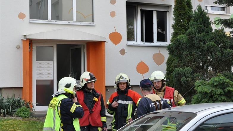 Über 60 Feuerwehrleute aus dem Elbland waren im Einsatz.