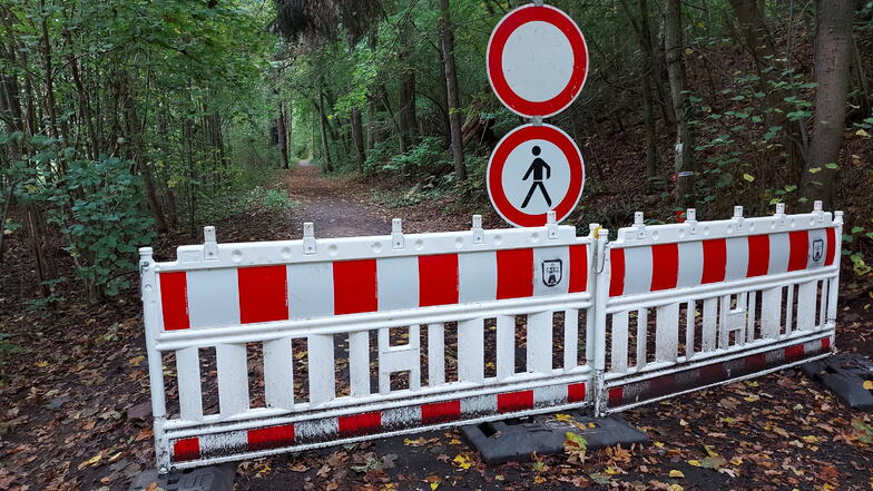 Am Rauschenthaler Weg werden Wanderer seit einem halben Jahr ausgebremst. Wegen der Gefahr, dass Bäume umstürzen, ist der beliebte Wanderweg in Richtung Kriebethal seit Monaten gesperrt.