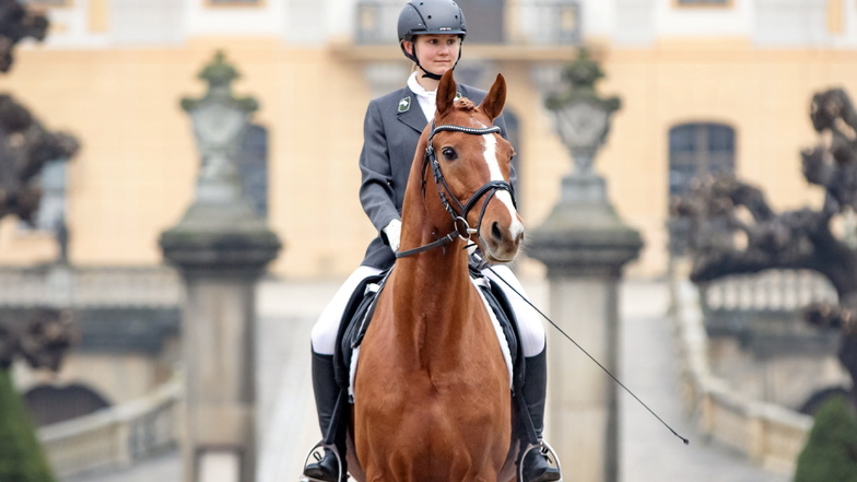Die angehende Pferdewirtin Lucie Frenkel setzt Banderas vor der dem Barockschloss in Szene.