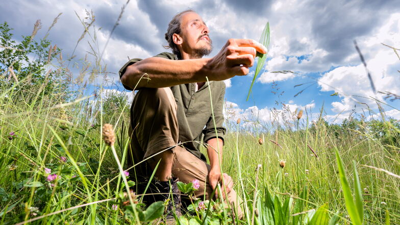 Gauthier Saillard, Naturfotograf und Wildpflanzen-Spezialist, vermittelt bei seinen Wanderungen nicht nur viel Wissen über die oft unscheinbaren Pflanzen am Wiesenrain. Am Schluss wird mit dem Gesammelten auch gekocht.
