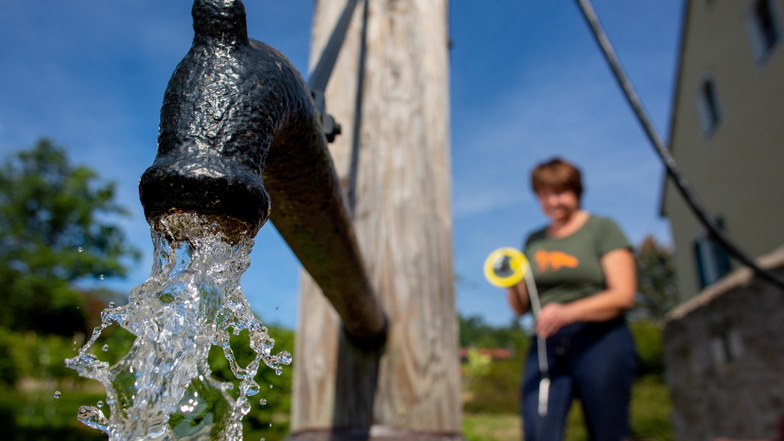 Warum Sachsen die extremste Grundwasserdürre seit 100 Jahren erlebt