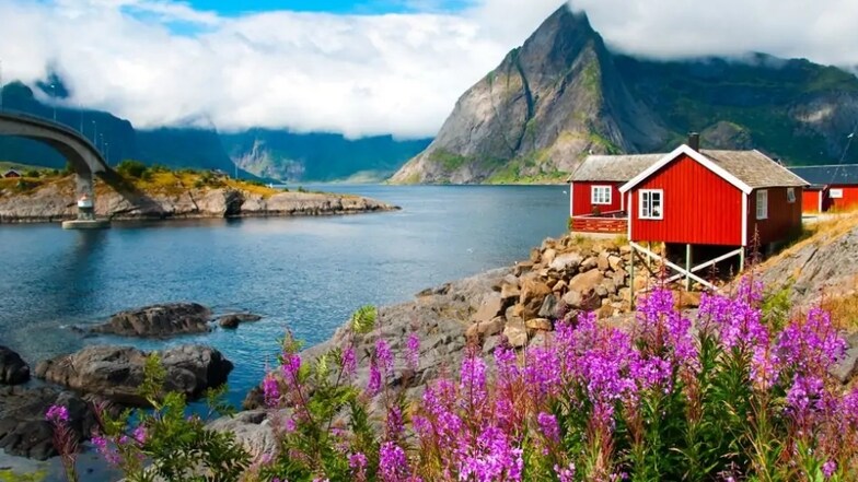 Wilde Schönheit: Fjorde, Klippen, Land und Meer.