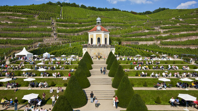 Die Weinterrassen auf Schloss Wackerbarth laden noch den ganzen Sommer lang zu Wein, Musik und Genuss.