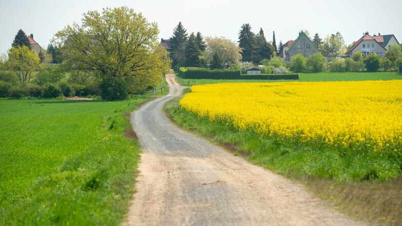 Der Kirchweg in Reichenberg soll eine Baumreihe bekommen, die künftig Schatten spendet. Zunächst muss allerdings geklärt werden, ob die Landbesitzer damit einverstanden sind.