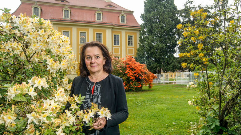 Schlossleiterin Ines Eschler steht im Park der Rammenauer Landbarockanlage. Gerade jetzt, da die Rhododendron- und Azaleensträucher in voller Blüte sind, lohnt sich ein Besuch besonders. Für die Zukunft des Parks wird gerade ein Konzept erarbeitet.