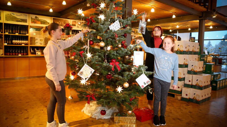 Ayla, Luci und Angelie (v. l. n. r.) von der Kinderarche Sachsen haben den Weihnachtsbaum im Gutsmarkt von Schloss Wackerbarth mit ihren Wunschzetteln geschmückt.