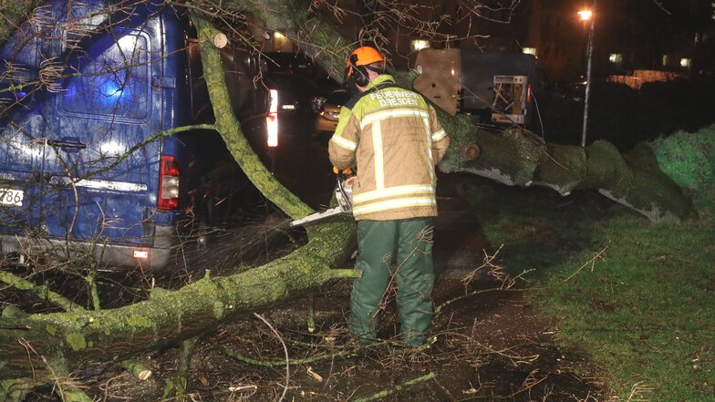 Die Dresdner Feuerwehr musste am Montagmorgen viele Bäume von Straßen, Autos und Häusern räumen.