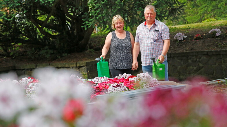 Guntram Schäfer und seine Frau Marlies kümmern sich mit großem Engagement um den Stadtpark in Pulsnitz. Besonders im Sommer sind sie fast täglich mit der Gießkanne unterwegs.
