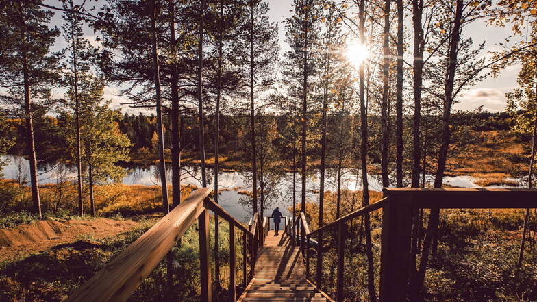 Reisetipp Finnland: Der Natur ganz nah - mit dem einzigen indigenen Volk Europas