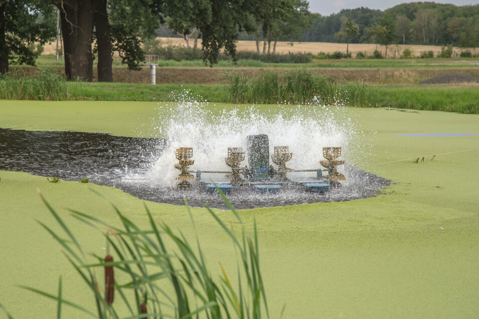 Aufwendiger Technikeinsatz in manchen Teichen sorgt dafür, dass die Fische dort überleben können. Walzen und Kreisel wirbeln das Wasser auf und erhöhen den Sauerstoffgehalt.