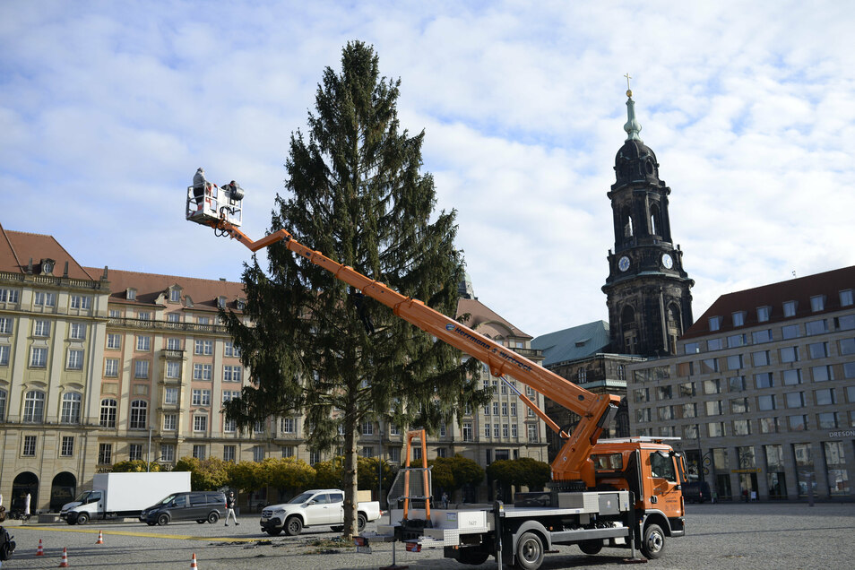 Brauchen wir dieses Jahr einen Striezelmarkt? Sächsische.de