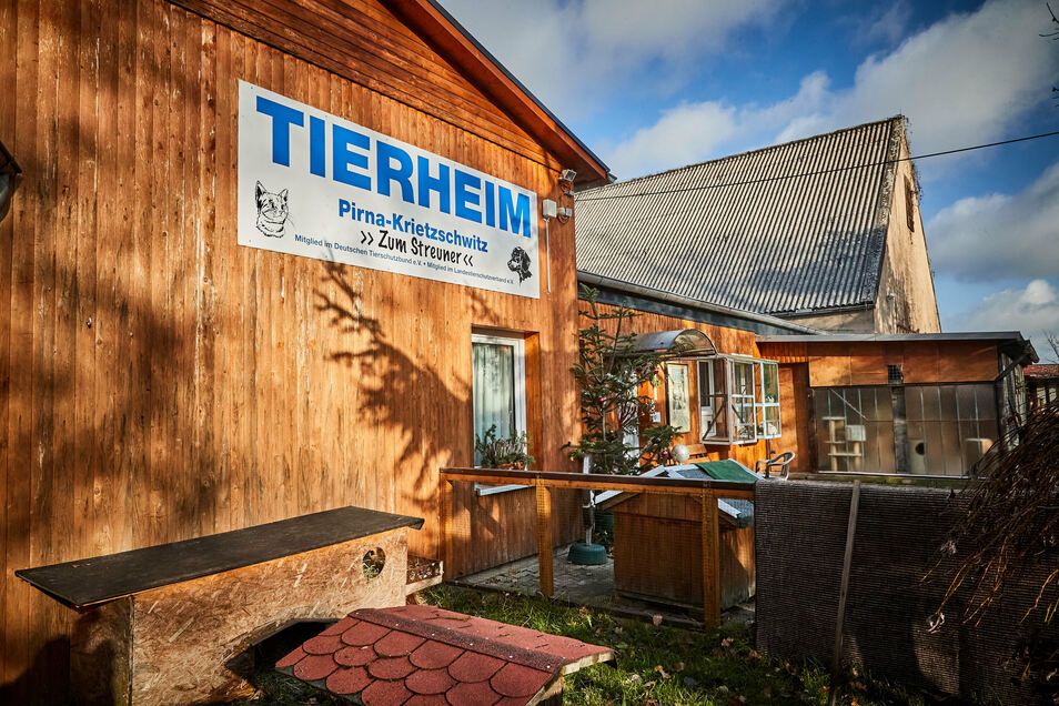 Pirna Tierheim für Besucher geschlossen Sächsische.de