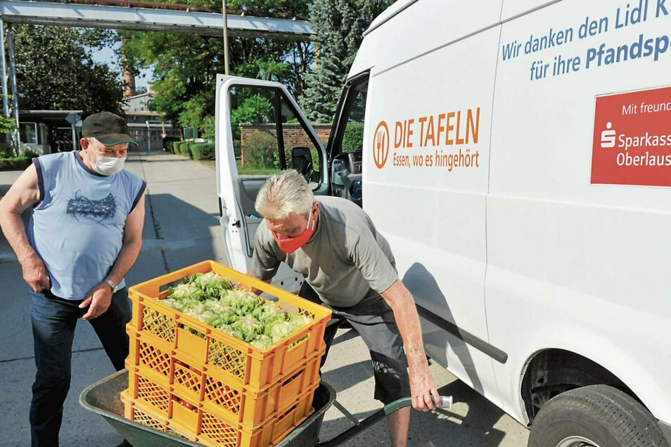 Horst Bertram und Pjoter Voromkov sammeln für die Tafel Weißwasser der Caritas das Gemüse ein