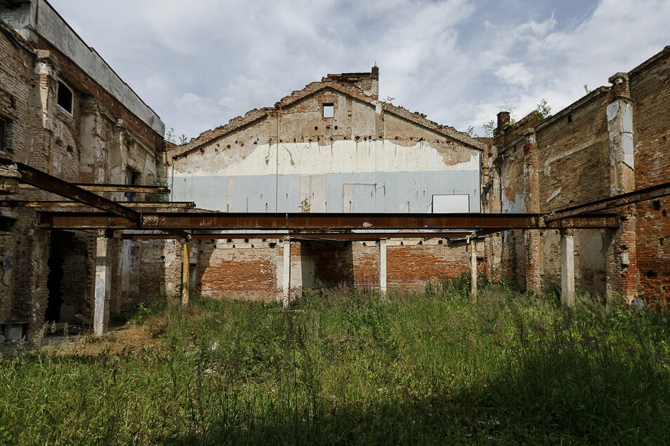 Grass grows in the former hall of the Capitol behind Berliner Straße 32.  Only the outer walls are still standing.