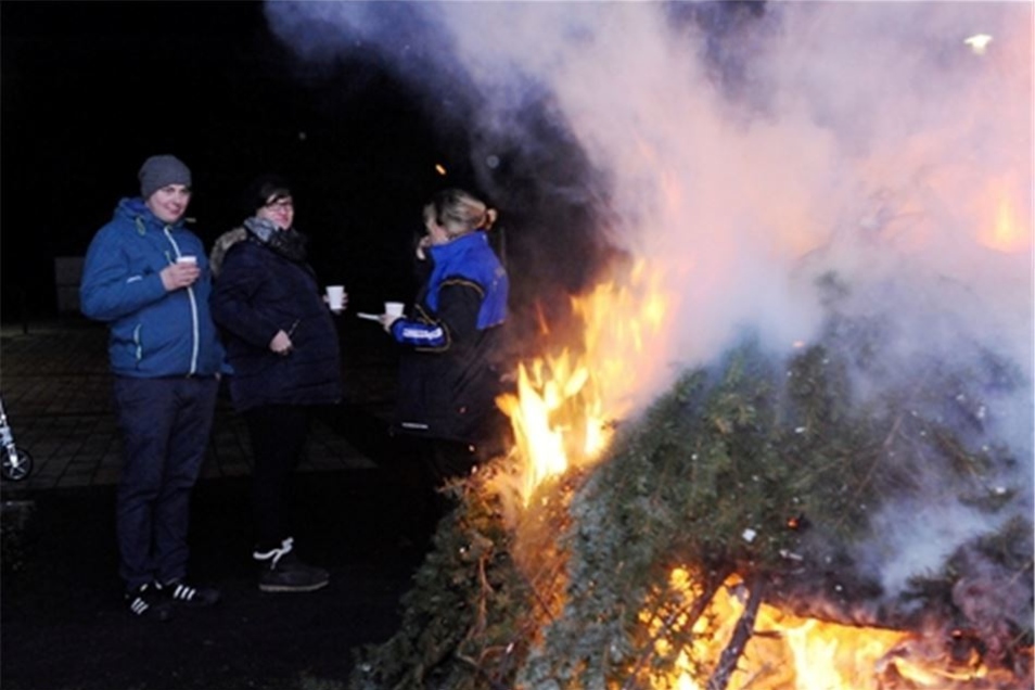 Verbrennen Von Christbaumen Im Landkreis Bleibt Verboten