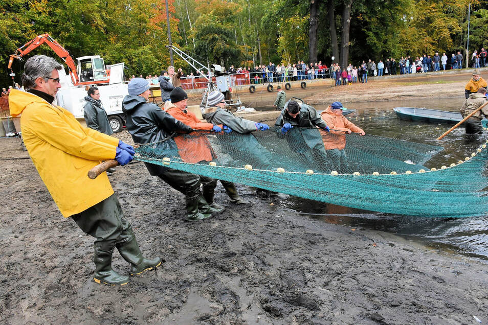 In diesem Jahr gibt es kein Fischerfest an der Schwarzen Lache. Erst 2022 wird das Abfischen in Kreba wieder öffentlich durchgeführt.