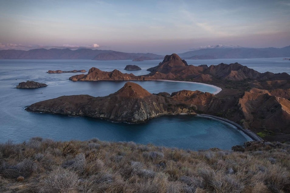 Indonesien sperrt Komodo Insel  S chsische de