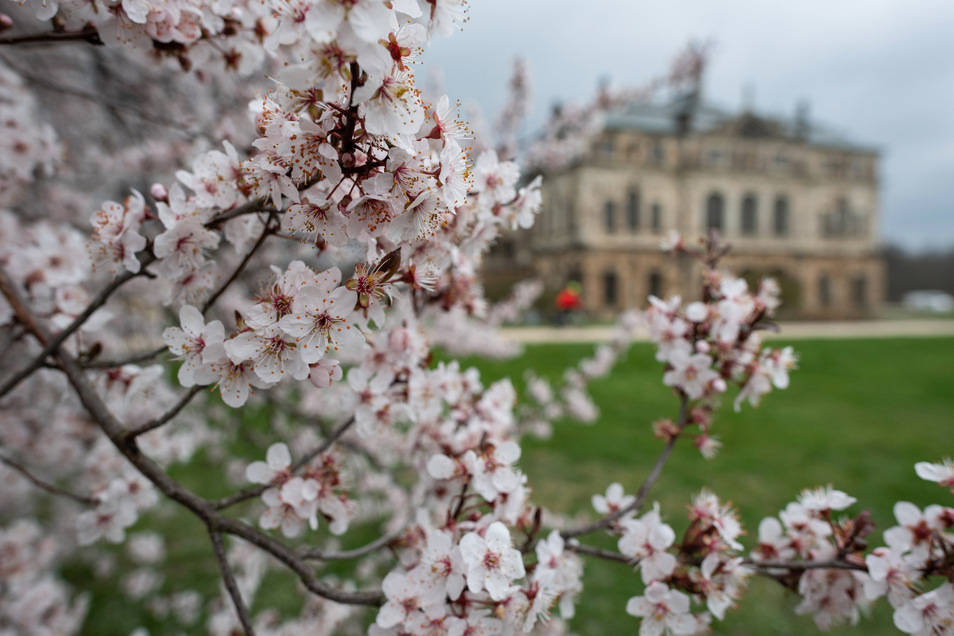 Auftakt Im Grossen Garten Sachsische De