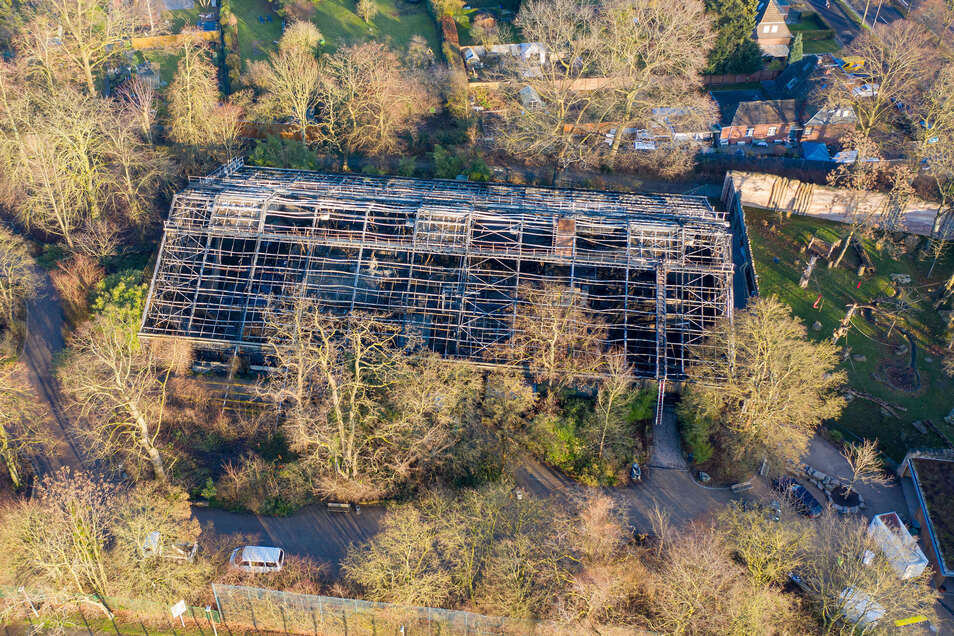 Drei Verdachtige Nach Zoo Brand Ermittelt Sachsische De