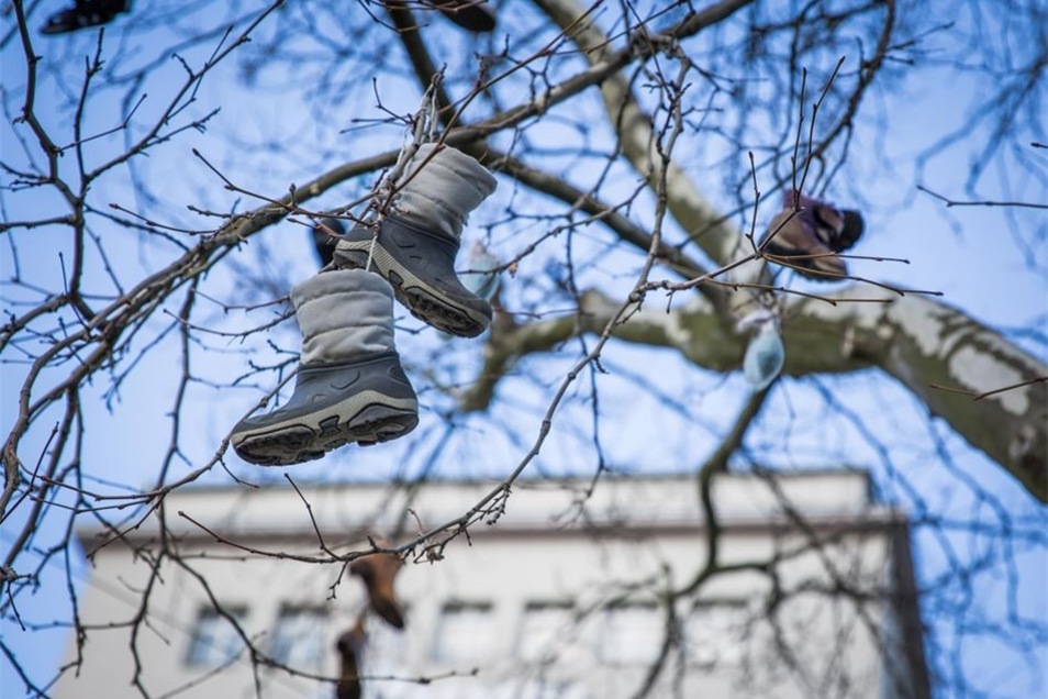 Was machen diese Schuhe auf dem Baum? Sächsische.de