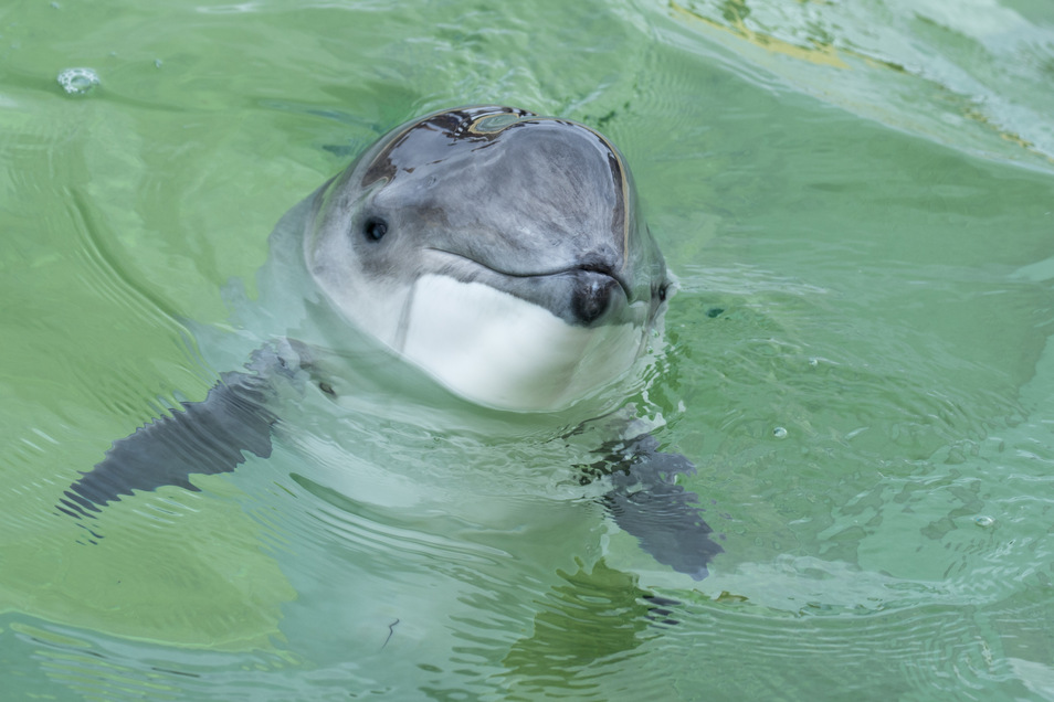 Arger Um Minensprengung In Der Ostsee Sachsische De