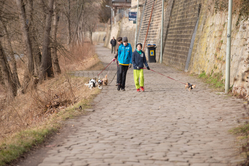 So bequem wurde der Dresdner Körnerweg | Sächsische.de