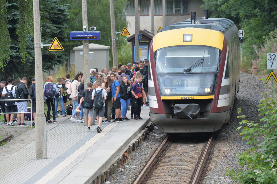 Bus und Bahn fahren parallel Sächsische.de