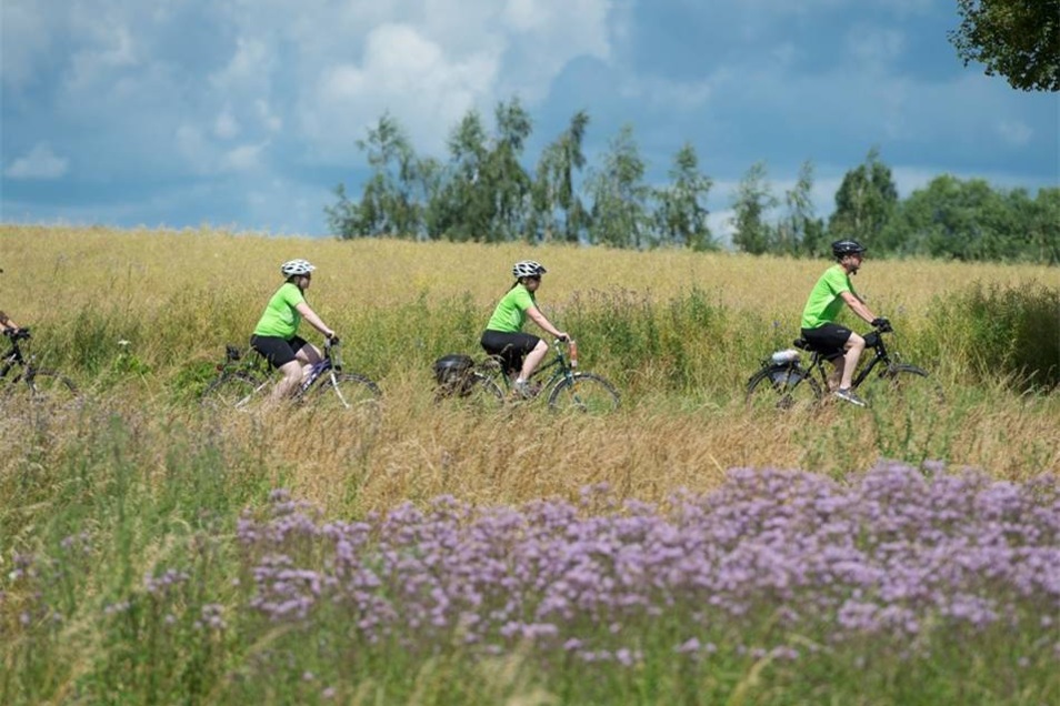 Truckertreff und Fahrradfest Sächsische.de