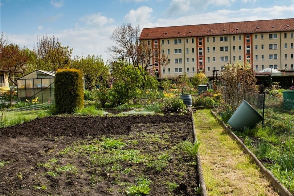 Rettet Die Gartensparten Sachsische De